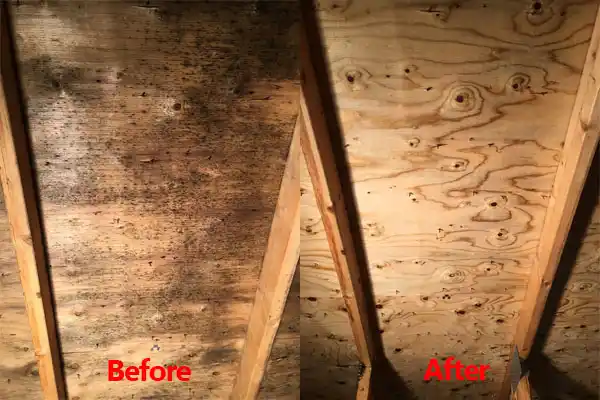 water damage restoration service Lindenhurst